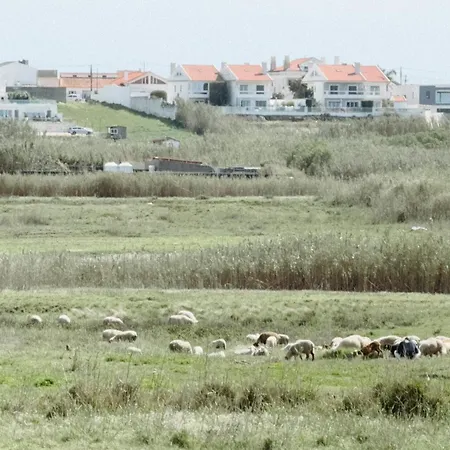 Donothing House - - Baleal Ferrel (Leiria)