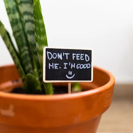 Donothing House - - Baleal Πανσιόν Ferrel (Leiria)